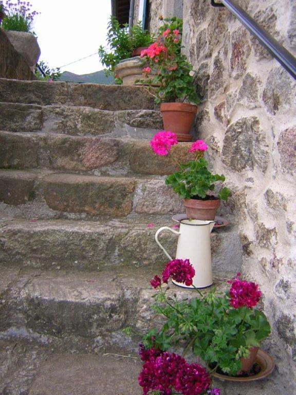 Mas Casta Nea Bed & Breakfast *