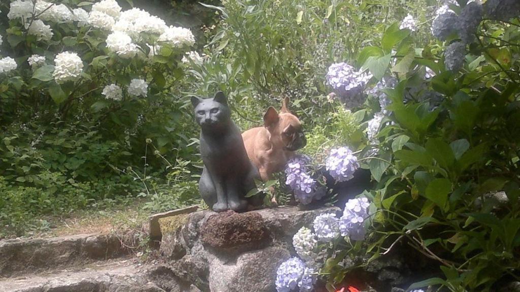 Bed & Breakfast Mas Casta Nea Thueyts